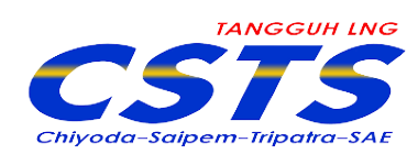 CSTS2-removebg-preview